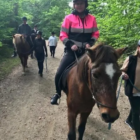 Apartamento Dyrlundgard *